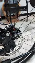 6.webp