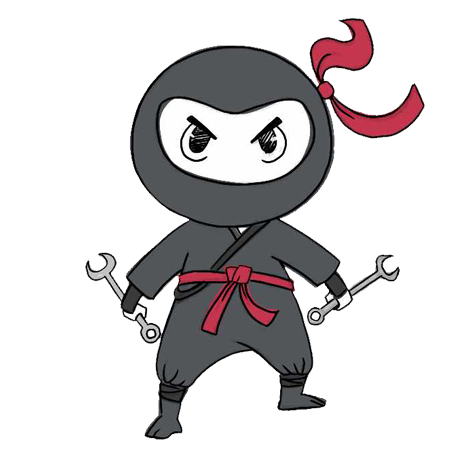 Ninja bike shop